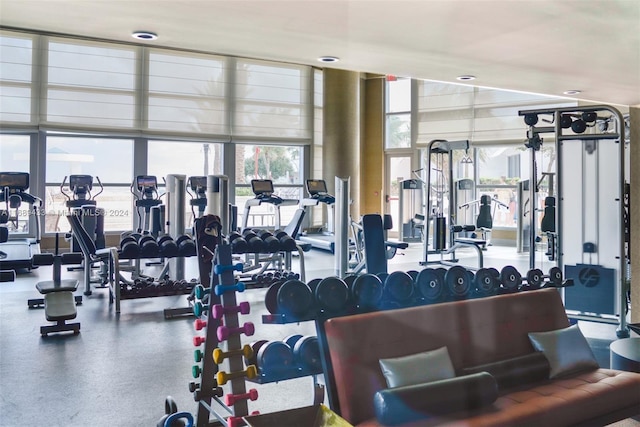 workout area featuring a wealth of natural light