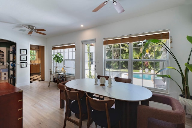 dining space featuring ceiling fan and light wood-type flooring