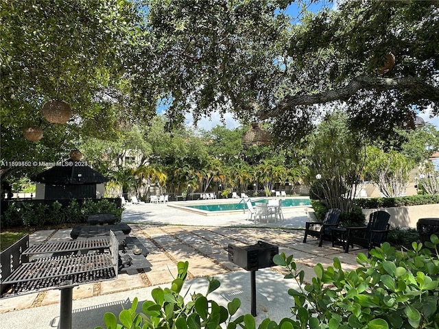 view of pool featuring a patio area