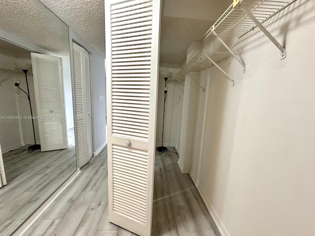 spacious closet with light wood-type flooring