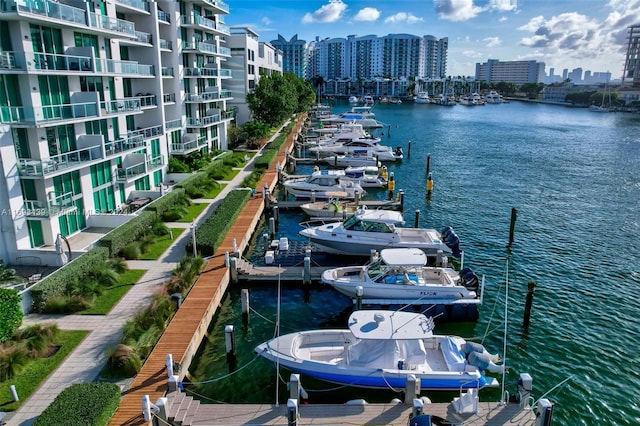 dock area with a water view