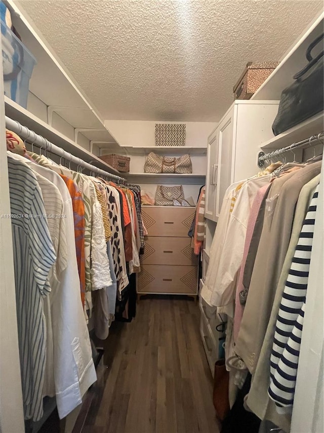 spacious closet with dark wood-type flooring