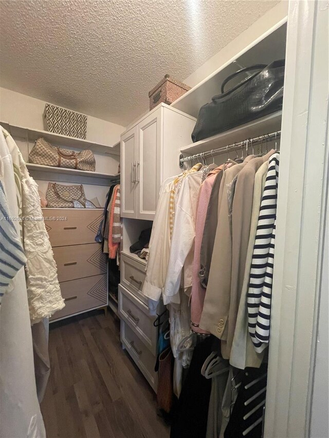 walk in closet with dark hardwood / wood-style flooring