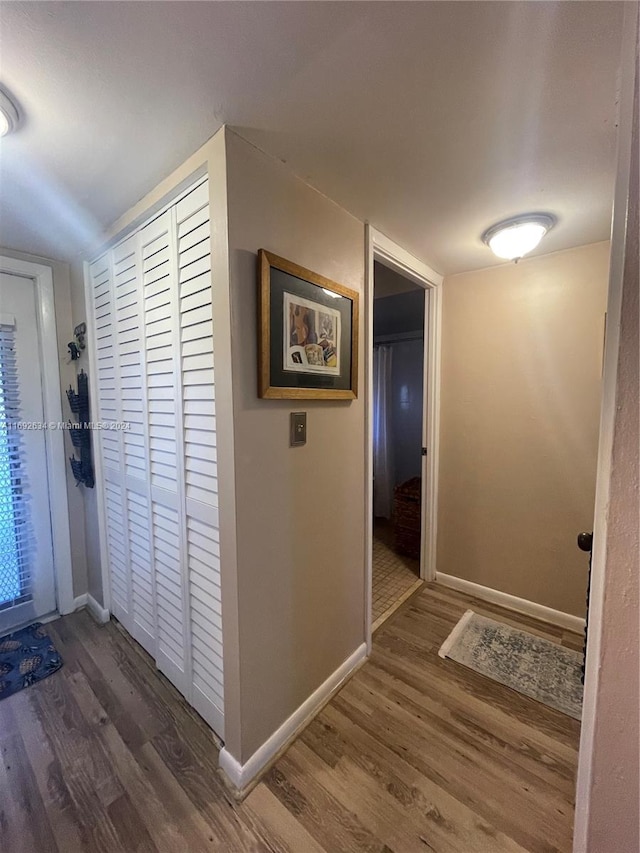 hall featuring dark wood-type flooring