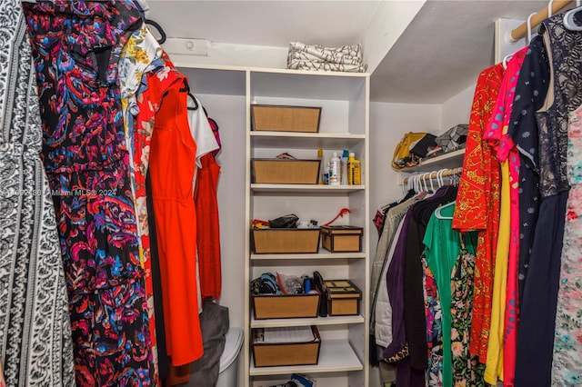 view of spacious closet