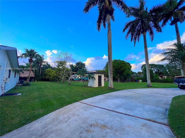 view of yard with a shed