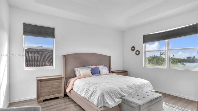 bedroom featuring light hardwood / wood-style floors and multiple windows