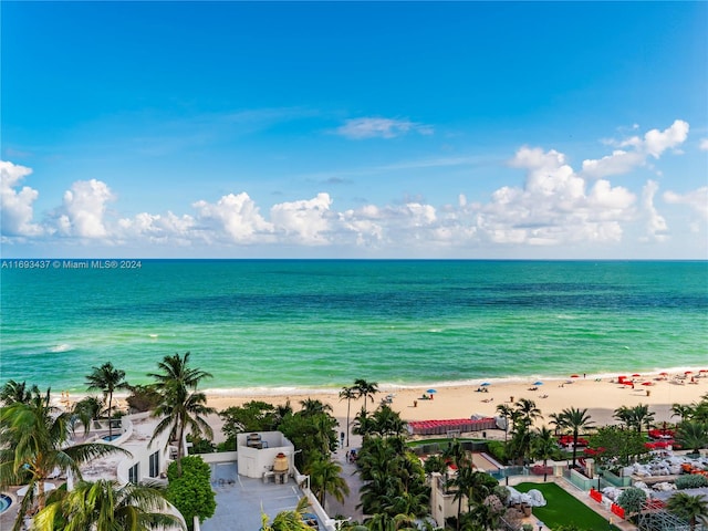 water view featuring a beach view