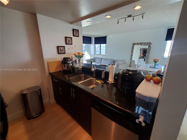 kitchen featuring dishwasher, sink, and light wood-type flooring