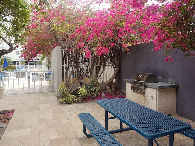 view of patio / terrace with grilling area and an outdoor kitchen