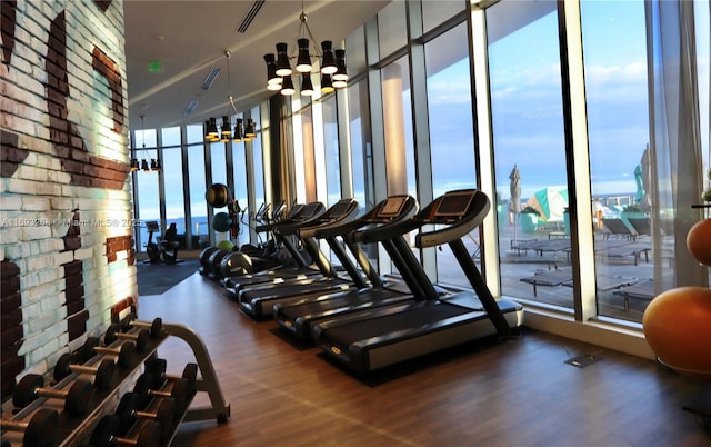 workout area featuring expansive windows, dark wood-type flooring, a wealth of natural light, and a notable chandelier