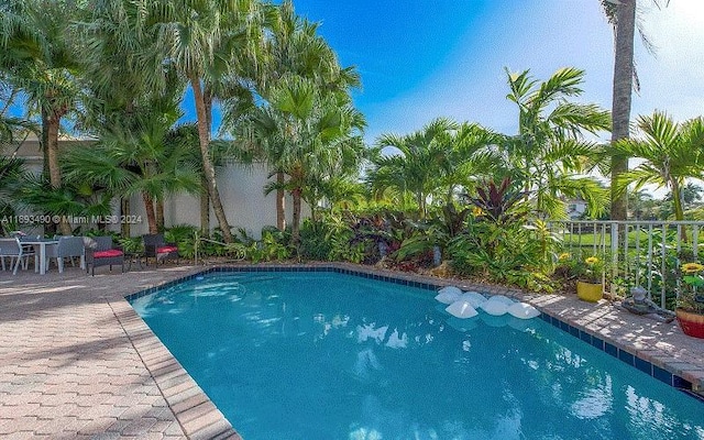 view of swimming pool with a patio area