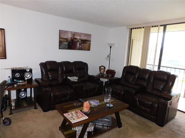 living room featuring carpet and a textured ceiling