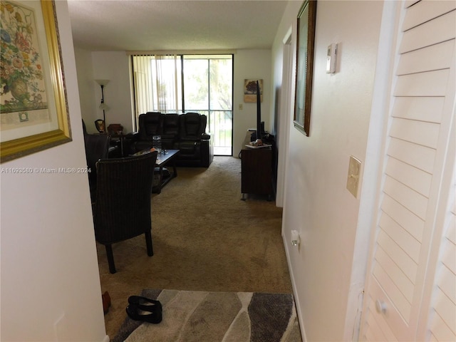 hallway with carpet floors