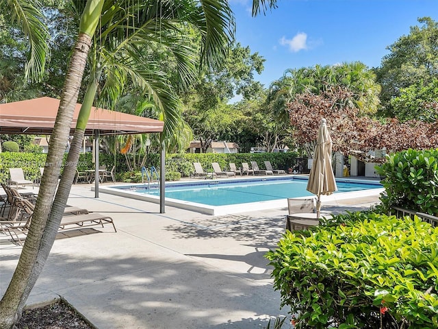 view of pool featuring a patio