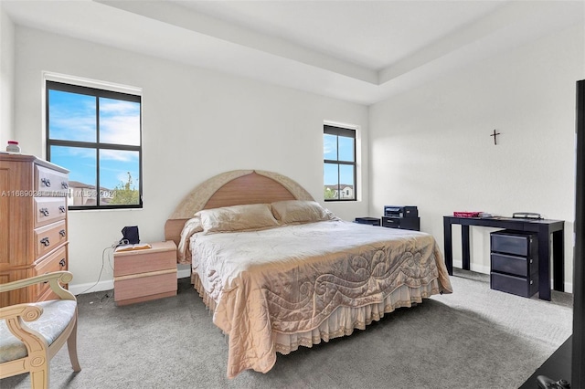 carpeted bedroom with multiple windows