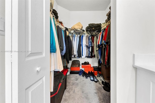 spacious closet featuring carpet flooring