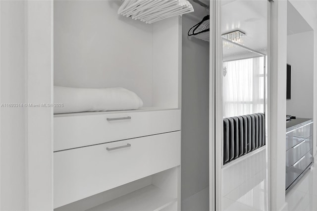 18201 Collins Ave Unit 1002, Sunny Isles Beach, FL 33160 - view of walk in closet