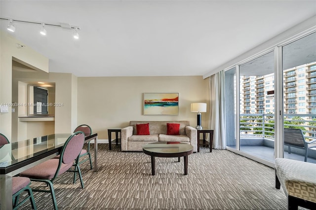 living room featuring carpet floors and rail lighting