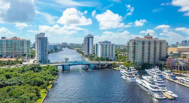 bird's eye view featuring a water view