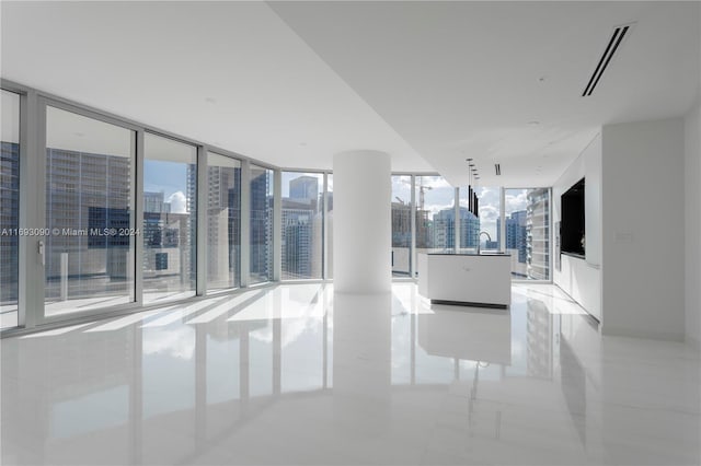 spare room with expansive windows, plenty of natural light, and sink