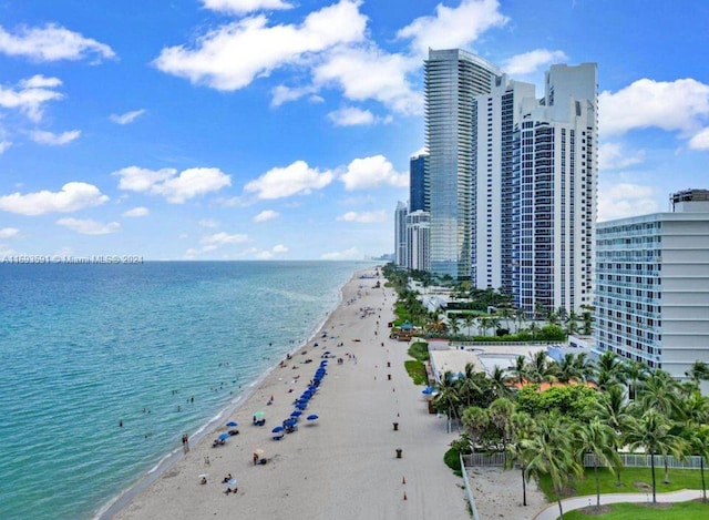 water view featuring a beach view