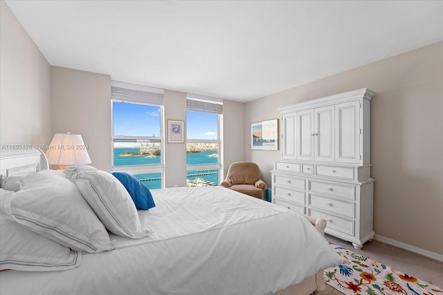 carpeted bedroom with a water view