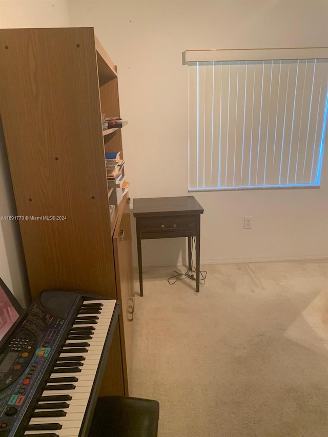 miscellaneous room featuring light colored carpet