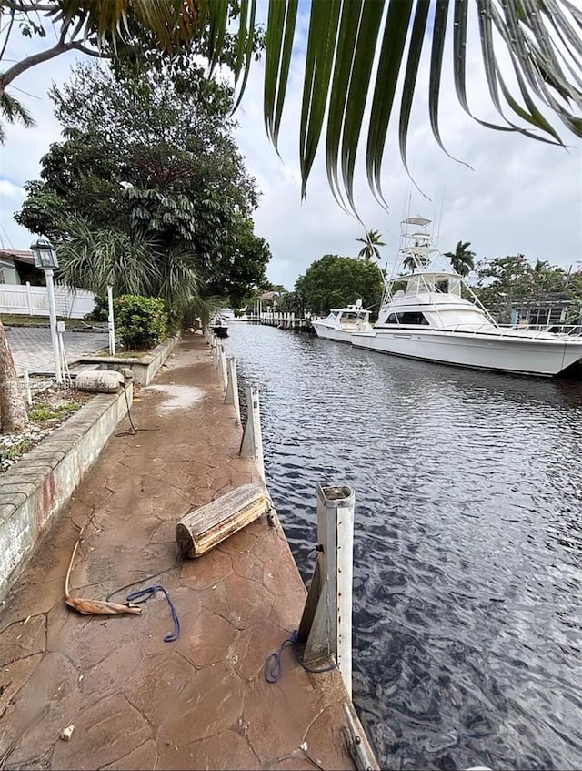 dock area with a water view