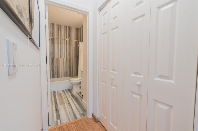 hallway featuring wood-type flooring