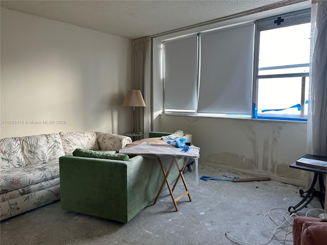 living room featuring a textured ceiling