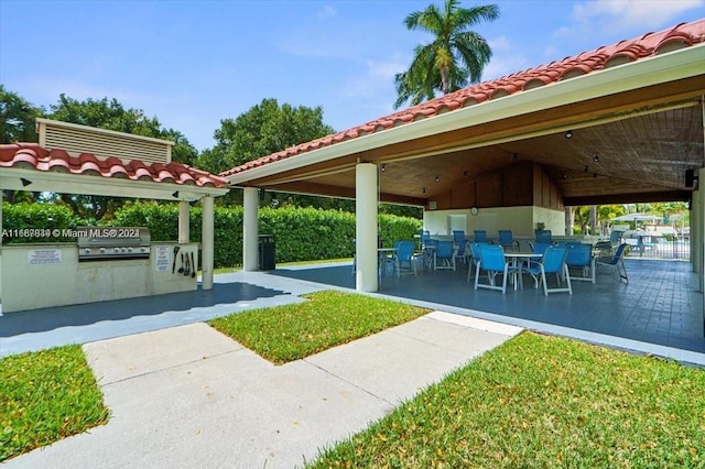 view of home's community featuring an outdoor kitchen and a patio