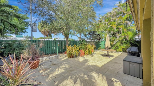 view of patio with area for grilling