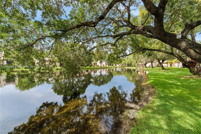 water view