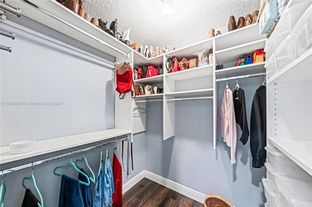 spacious closet featuring dark hardwood / wood-style flooring