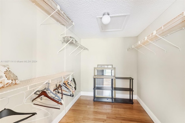 walk in closet featuring wood-type flooring