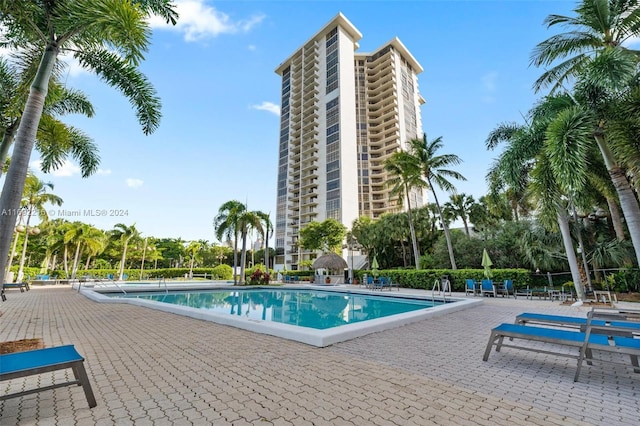 view of swimming pool with a patio