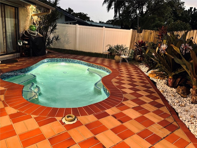 view of pool featuring a patio