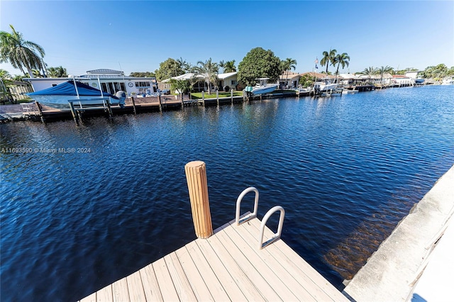 dock area with a water view