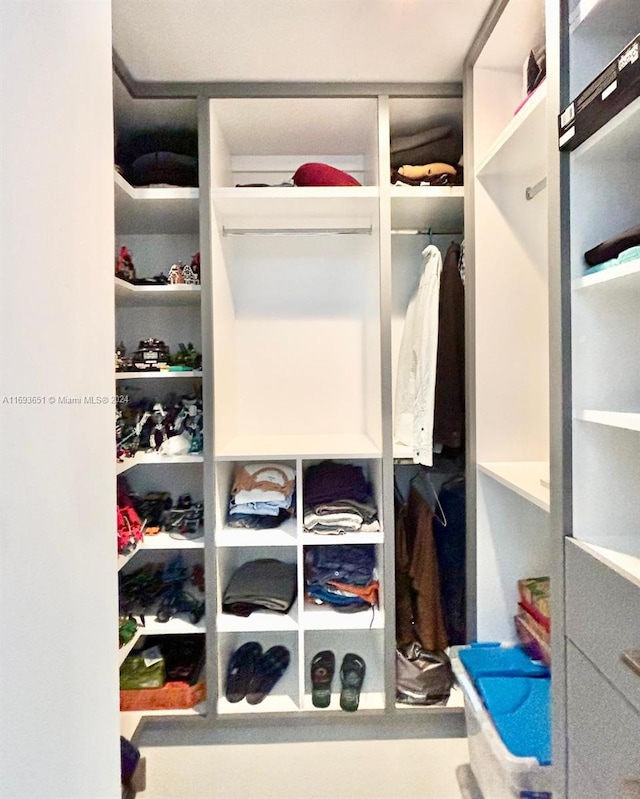 view of walk in closet