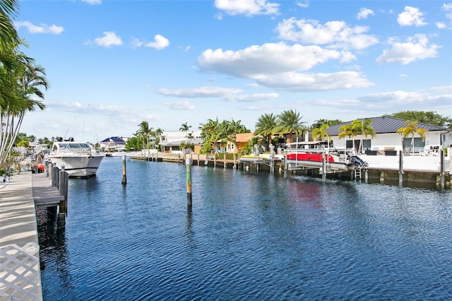 dock area with a water view