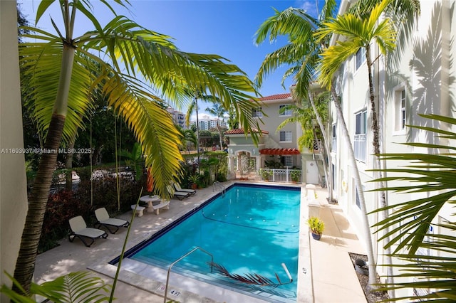 view of swimming pool