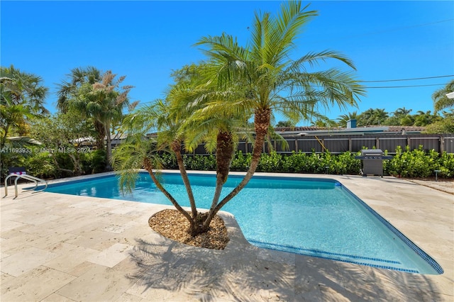 view of swimming pool with a patio area