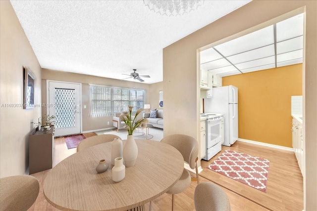 dining room featuring ceiling fan and light wood-type flooring