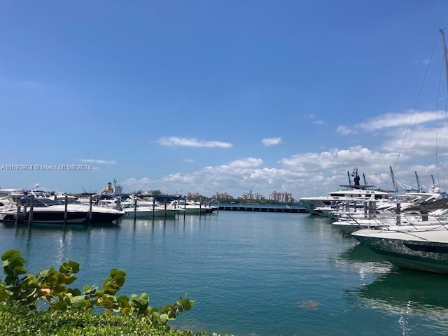 water view with a dock