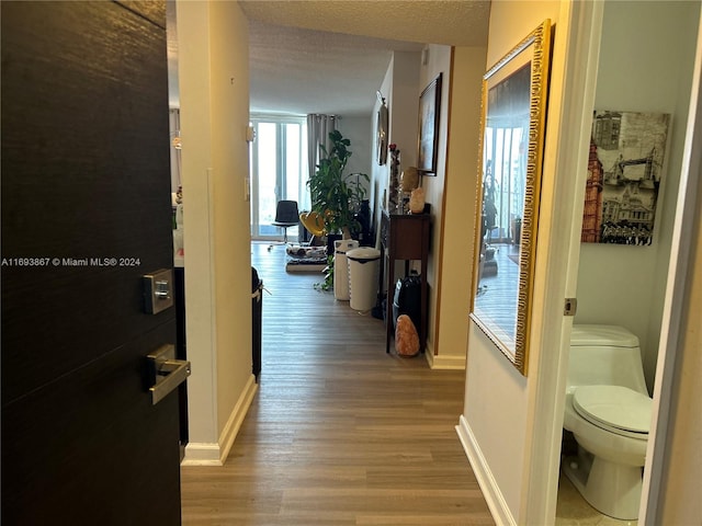 hallway featuring a textured ceiling and light hardwood / wood-style flooring