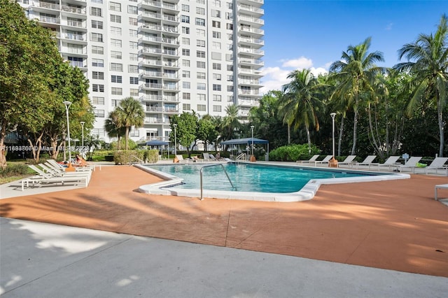 view of pool featuring a patio area