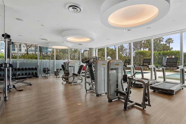 workout area with hardwood / wood-style floors, a wall of windows, and a tray ceiling