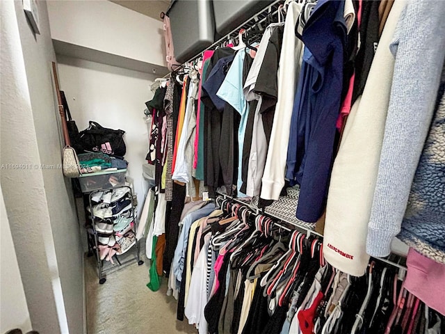 spacious closet with carpet floors