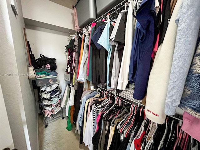 6458 Emerald Dunes Dr Unit 303, West Palm Beach, FL 33411 - view of walk in closet